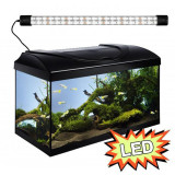 Set Acvariu STARTUP 60 LED Expert 10W - PLAT - NEGRU, DIVERSA