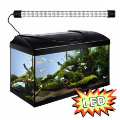 Set Acvariu STARTUP 60 LED Expert 10W - PLAT - NEGRU