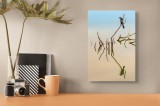 Tablou Canvas, "Pasăre solitară pe ramură reflectată", Natură, Liniște, Reflecție, Pasăre, Crampe, Apă, Serenitate, Echilibru, Frumusețe, Minimalism,