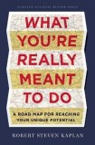 Reaching Your Potential: A Roadmap for Defining and Achieving Your Own Success