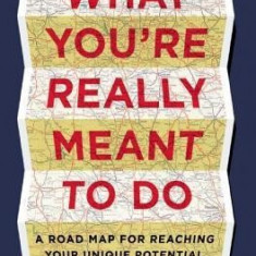 Reaching Your Potential: A Roadmap for Defining and Achieving Your Own Success