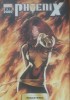 MARVEL anii 2000 Colectia Renasterea Phoenix