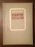 Dr. Petru Groza - &Icirc;n drum spre socialism (discursuri și &icirc;ntrevederi politice 1947-1948)