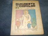 REVISTA DIMINEATA COPIILOR NR 45 1924