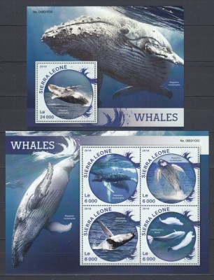 Sierra Leone 2016 - Fauna Marina - BALENE - Sh + S.S. - MNH foto