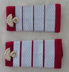 C2 2 - Grade militare - plutonier adjutant principal infanterie - de colectie!