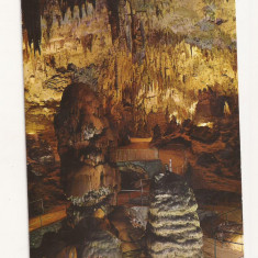 FA53-Carte Postala- SLOVENIA - Postojna Cave Park, necirculata 1968
