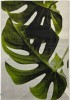 Covor Model Kolibri 11290-390, Marime 120 x 170 cm, Gri, Verde, Inaltime Fir 9 mm, Antialergic, Polipropilena, Living, Dormitor, Sufragerie, Birou
