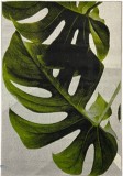 Cumpara ieftin Covor Model Kolibri 11290-390, Marime 120 x 170 cm, Gri, Verde, Inaltime Fir 9 mm, Antialergic, Polipropilena, Living, Dormitor, Sufragerie, Birou