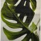 Covor Model Kolibri 11290-390, Marime 120 x 170 cm, Gri, Verde, Inaltime Fir 9 mm, Antialergic, Polipropilena, Living, Dormitor, Sufragerie, Birou