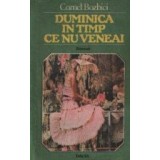 Duminica in timp ce nu veneai - Roman