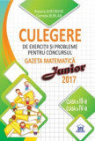 Culegere de exercitii si probleme pentru concursul Gazeta Matematica Junior 2017 (clasa a III-a si clasa a-IV-a), Didactica Publishing House