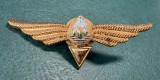 Insigna Navigator Aerian fara clasa aviatie militara 1966 1977 RSR
