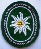 M.120 GERMANIA EMBLEMA ECUSON PATCH MILITAR BUNDESWEHR 1 Gebirgsdivision