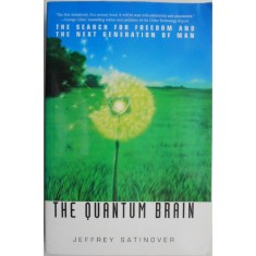 The Quantum Brain. The Search for Freedom and The Next Generation of Man &ndash; Jeffrey Satinover