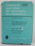 LEHRBUCH UND ATLAS DER ANATOMIE DES MENSCHEN von RAUBER KOPSCH , BAND I : BEWEGUNGSAPPARAT - KHOCHEN - GELENKE - MUSKELN , von GIAN TONDURY , 1968