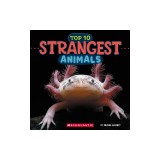 Top Ten Strangest Animals (Wild World)