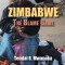 Zimbabwe: The Blame Game. Recollected Essays and Non Fictions