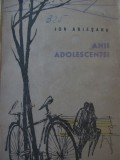 Anii adolescentei - Ion Ariesanu