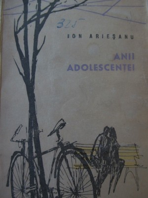Anii adolescentei - Ion Ariesanu foto