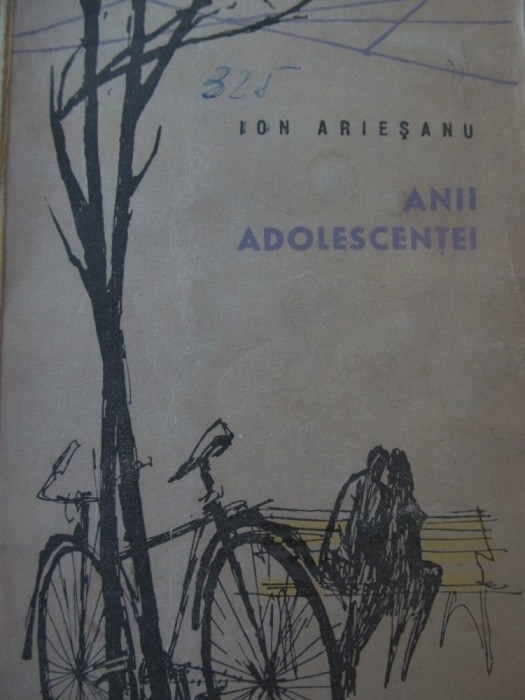 Anii adolescentei - Ion Ariesanu