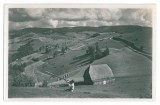 3815 - Apuseni MOUNTAIN, Romania - old postcard, real PHOTO - unused, Necirculata, Fotografie