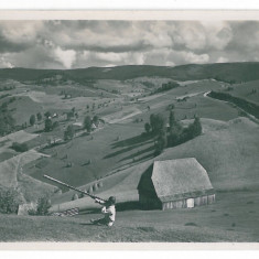 3815 - Apuseni MOUNTAIN, Romania - old postcard, real PHOTO - unused