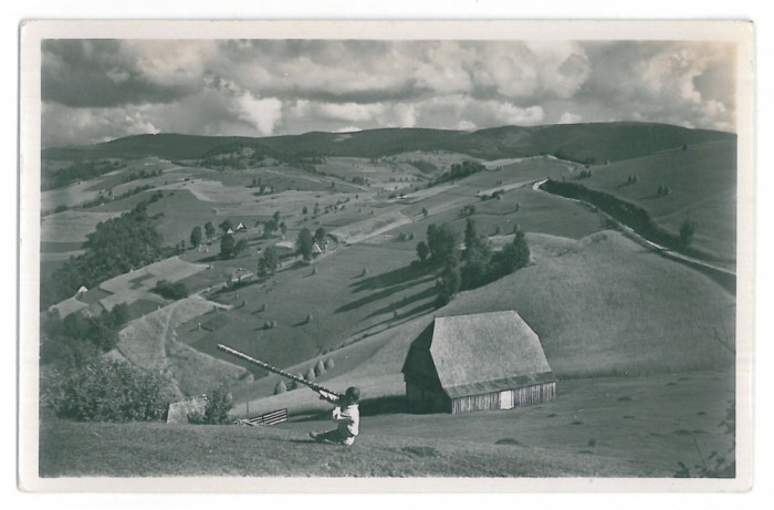 3815 - Apuseni MOUNTAIN, Romania - old postcard, real PHOTO - unused