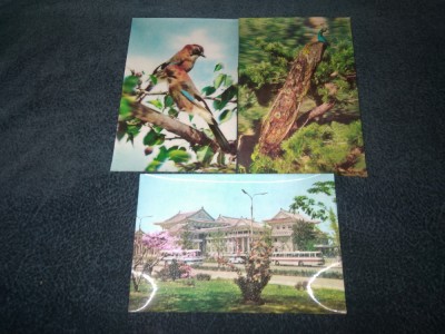 3 CARTI POSTALE 3D CHINA foto