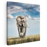 Tablou canvas mama elefant cu pui, maro, albastru 1293 Tablou canvas pe panza CU RAMA 80x80 cm