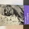 Vasile Netea, C. A. Rosetti, 1970