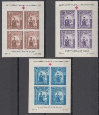 ROMANIA 1943 LP 144 II DUCA VODA HATMANUL UCRAINEI BLOCURI NEDANTELATE MNH foto