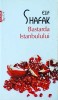 Elif Shafak - Bastarda Istanbulului, Polirom