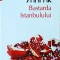 Elif Shafak - Bastarda Istanbulului