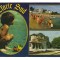 CPIB 18900 CARTE POSTALA - EFORIE SUD, MOZAIC