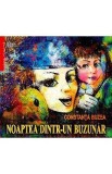 Noaptea dintr-un buzunar - Constanta Buzea