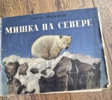 Ursulet in Nord - Serghei Mihalkov