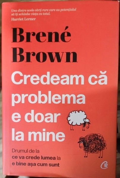 Credeam ca problema e doar la mine - Brene Brown