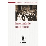 &Icirc;nsemnările unui aiurit