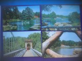 HOPCT LOT 4128 - 4 CARTI POSTALE-PARCUL POPORULUI-CRAIOVA.-JUD -DOLJ-CIRCULATE, Circulata, Printata