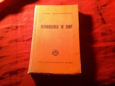 IONEL TEODOREANU - Intoarcerea in Timp (prima ed. 1941) ED.CR 240 PAG.