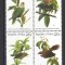 PALAU 1983, Fauna, Pasari, serie neuzata, MNH