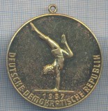 AZ 143 MEDALIE SPORTIVA-CAMPIONATE GERMANE PE ECHIPA LA GIMNASTICA ARTISTICA-RDG, Europa