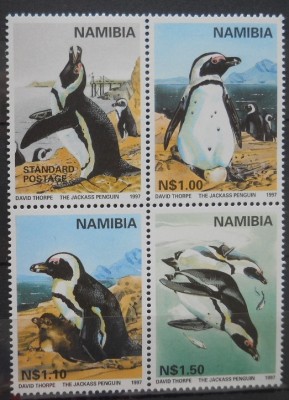 CV2 SERIE NAMIBIA foto