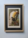 Cromolitografie / litografie color: Scena din viata pasarilor: Paradiesv&ouml;gel - Pasari paradisiace - tropicale, 1889, rama lemn, plexiglas, 32 x 23 cm