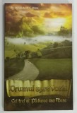 DRUMUL SPRE VOZIA , PARTEA I , CEI TREI SI PADUREA CEA MARE de MIHAI ANDREI ALDEA , 2009