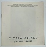 PICTURA - GUASE , CATALOG DE EXPOZITIE de C. CALAFATEANU , 1986