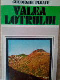 Gheorghe Ploaie - Valea lotrului (1983)