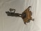 Vamd statuete bronz - 3