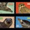 ✅RO 2017 ,LP 2145 ,&quot;Specii periclitate , em. comuna Ro - ONU &quot; , serie , MNH